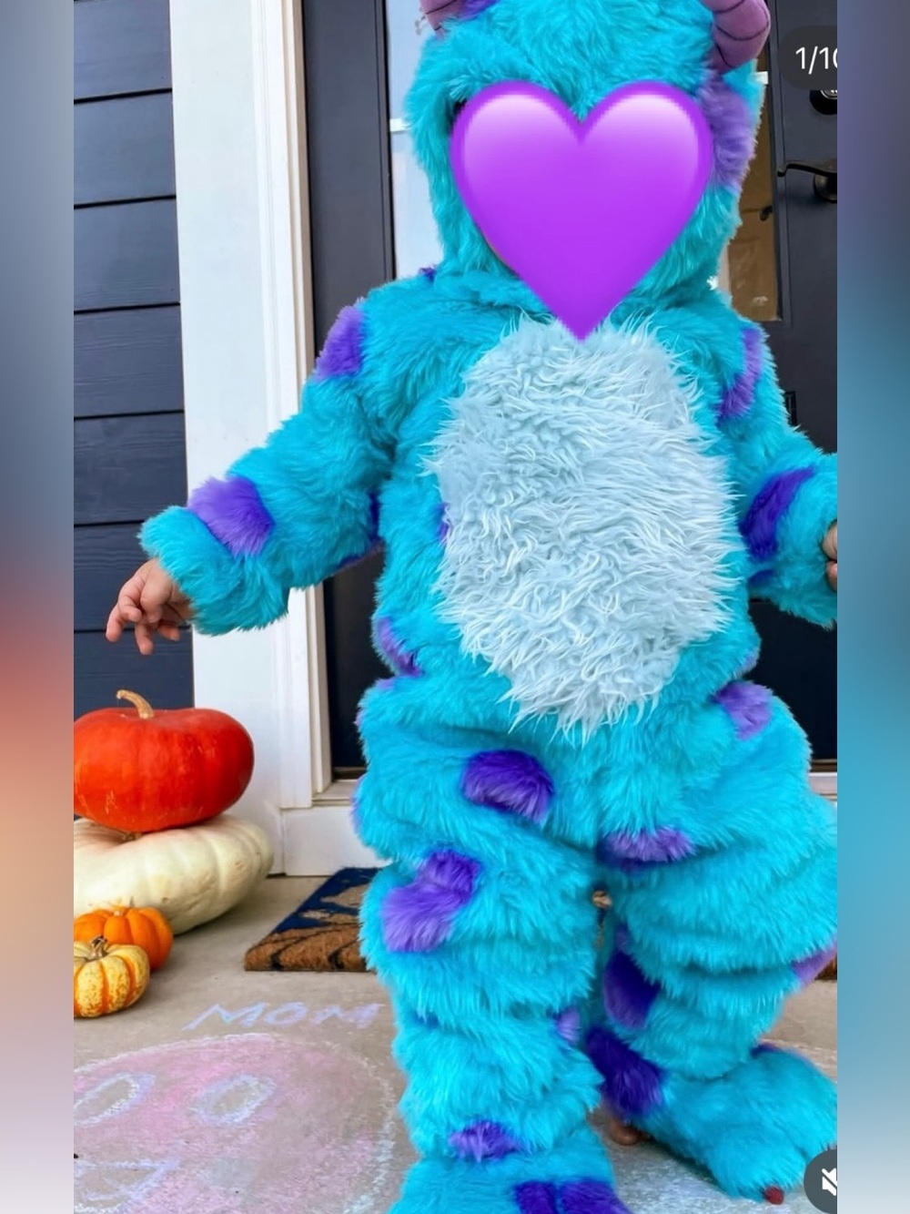 Like New- Pottery Barn Kids Monsters Inc. Sully Costume